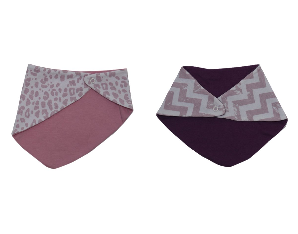 Organic Cotton Multi-Color Bibs Set ( Pack Of 2 )